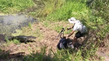 Nature Photographer Got Too Close To An Alligator So The Angry Reptile Charged At Him