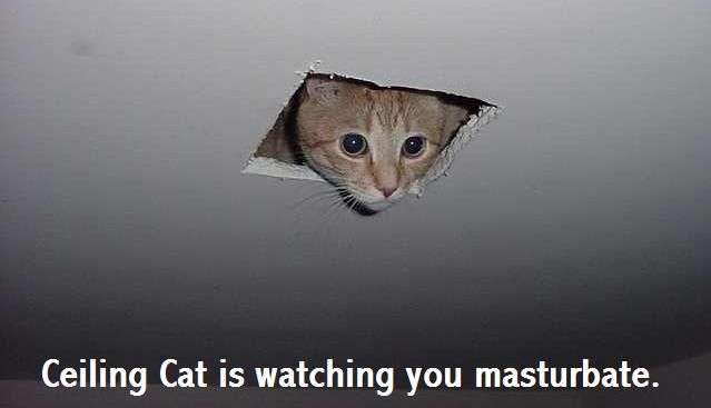 Ceiling cat meme