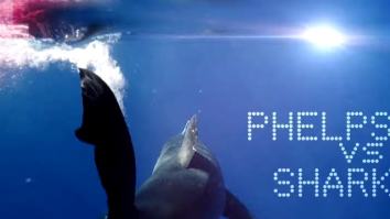 Watch First Trailer For Michael Phelps Vs Great White Shark, Olympian May Cheat To Compete