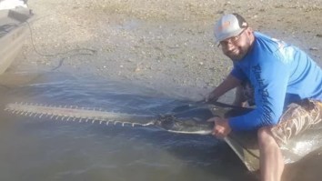Florida Man Fishing The Everglades Saves The Life Of A 17-Foot Dinosaur With Terrifying Teeth