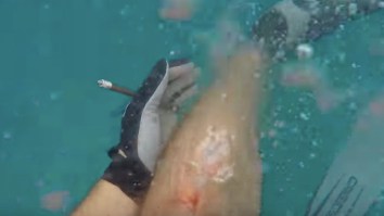 Spearfishing Bro Wearing A GoPro Is Attacked By A Reef Shark That Tears His Muscle And Tibial Artery