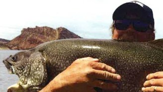 Dude Catches MASSIVE 57-Pound Lake Trout In Utah, A New Catch And Release Record In The State