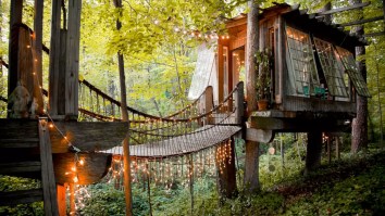 The Most Popular Listing On Airbnb Is A Treehouse And The Rental Price Comes With Sticker Shock