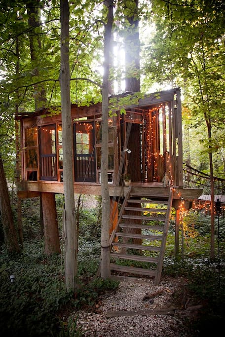 treehouse airbnb most popular listing