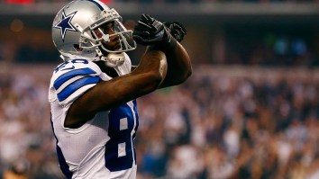Dallas Cowboys Fans React To Team Cutting Dez Bryant
