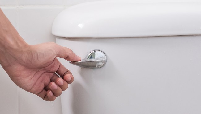 The Correct Way To Flush A Toilet (According To Health Experts)