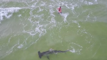 Bro Catches HUUUGE Hammerhead Shark While Fishing From The Sand On Panama City Beach