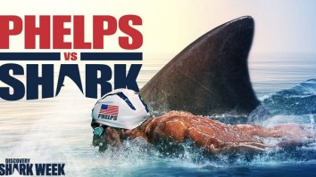 People Were Pissed Michael Phelps Didn’t Race Against A Real Shark
