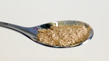 Protein Powder Made From Electricity, Air And Microbes May End World Hunger