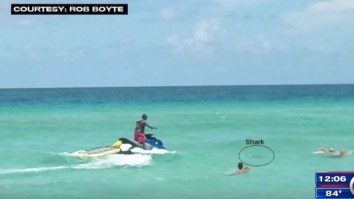 Shark Attacks Man Swimming At Nude Beach, Bites Him On Both Legs But Misses His Manhood