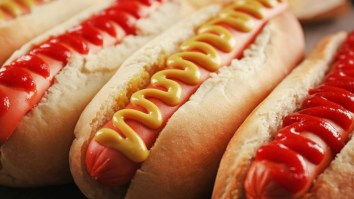 It’s National Hot Dog Day And Twitter Has Some Scorching Hot Takes About Ketchup And Sandwiches