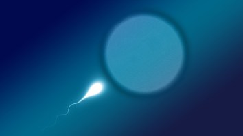 International Study Finds That Sperm Counts Have Plummeted 60% Over 40 Years