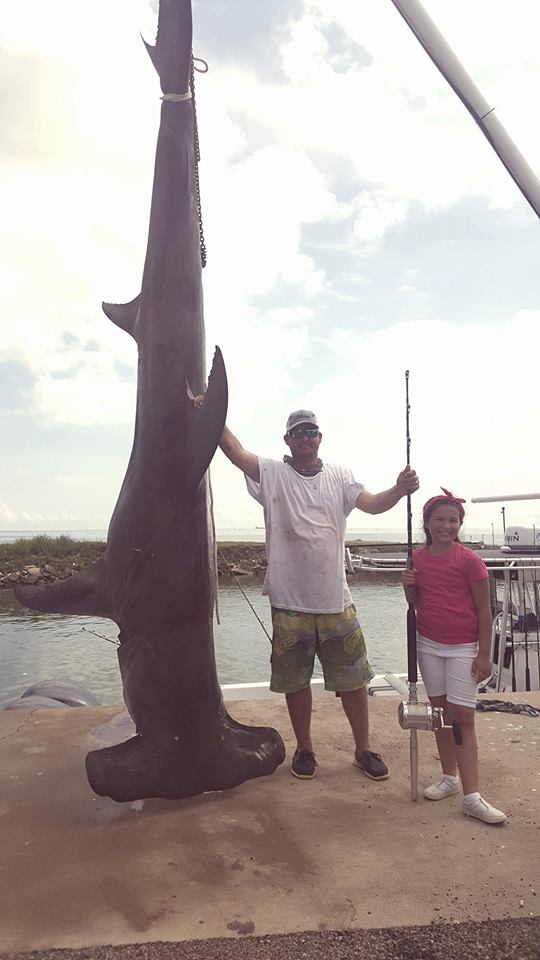 1,033 pound Texas record hammerhead shark