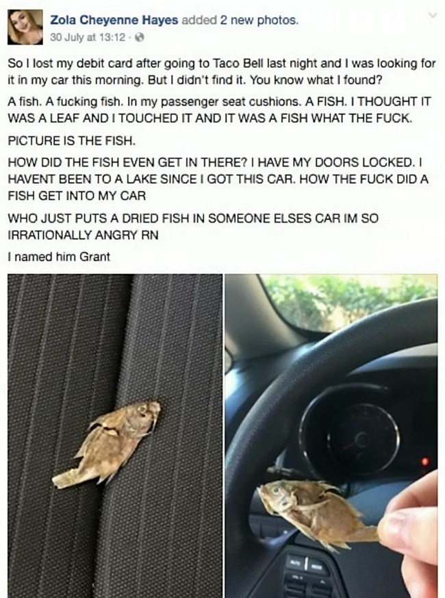 girl finds fish in car