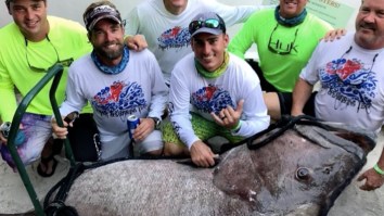 Firefighter Bro Breaks A Grouper Spearfishing World Record By Over 350 Pounds