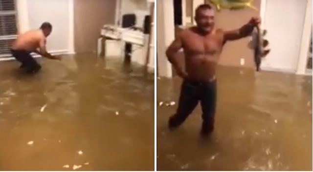 Man Catches Fish In Living Room Video
