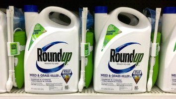 Does The Weed-Killer Roundup Cause Cancer? Plus Yelp’s Stock Gets A Shot In The Arm