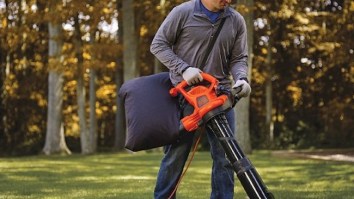 This Black + Decker 3-In-1 Blower, Vacuum And Mulcher Will Tackle The Biggest Yard For Under $50
