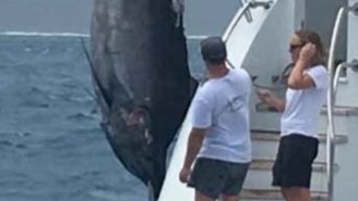 Aussie Fishing Captain Hauls In 11-Foot Long, 1,117-Pound Black Marlin, First ‘Grander’ Fish Of The Season