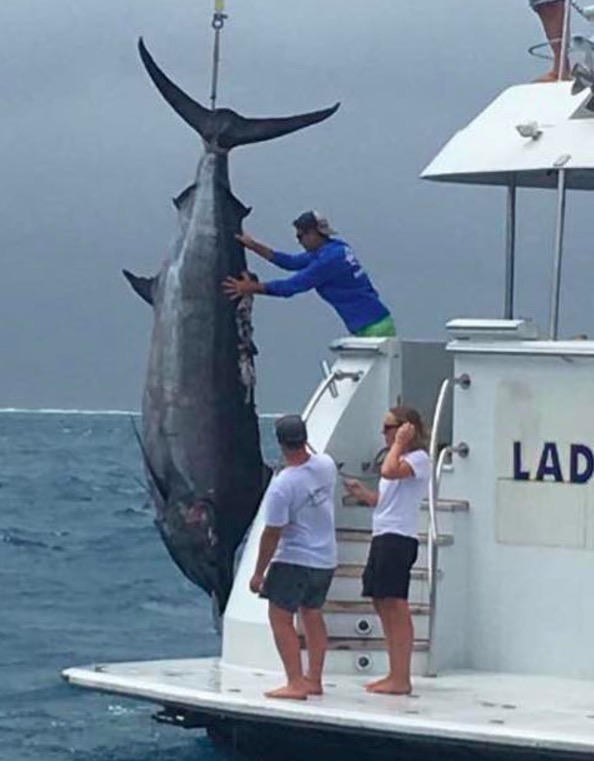 Aussie Fishing Captain Hauls In 11Foot Long, 1,117Pound Black Marlin