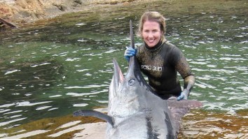 Aussie Sets Spearfishing World Record After Bagging A HUGE Black Marlin