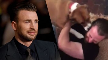 Chris Evans’ Reunion With His Pup Dodger ‘After 10 Long Weeks’ Is Why Dogs Are The GD Best