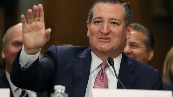 Ted Cruz Was Bagged Liking An Extremely NSFW Video On Twitter, And The Internet Nearly Blew A Gasket