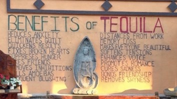 63 Of The Best Damn Photos On The Internet This Morning