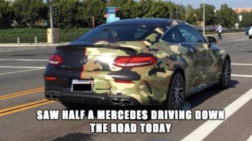 63 Of The Best Damn Photos On The Internet This Morning