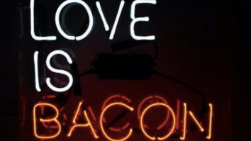 63 Of The Best Damn Photos On The Internet This Morning