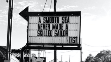 69 Of The Best Damn Photos On The Internet This Afternoon