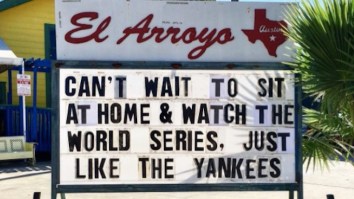 69 Of The Best Damn Photos On The Internet This Afternoon