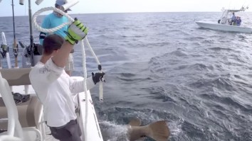 Bros Use Handlines To Catch 300+ Pound Grouper In Epic Fishing Strength Challenge