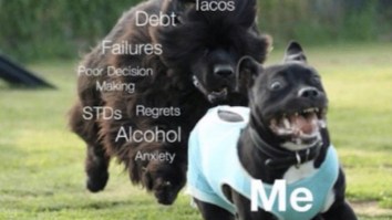 63 Of The Best Damn Photos On The Internet This Morning