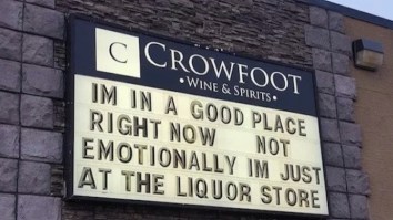 69 Of The Best Damn Photos On The Internet This Afternoon