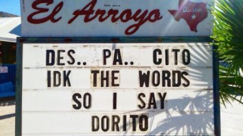 69 Of The Best Damn Photos On The Internet This Afternoon