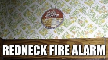 69 Of The Best Damn Photos On The Internet This Afternoon