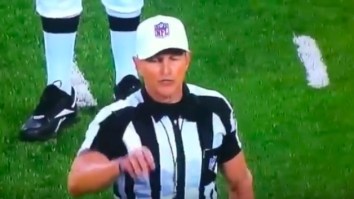 This Compilation Video Of NFL Ref Ed Hochuli Excessively Mansplaining Calls Is Very Entertaining