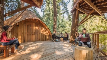 Microsoft Built These Sublime Treehouses For Their Employees To Connect With Nature