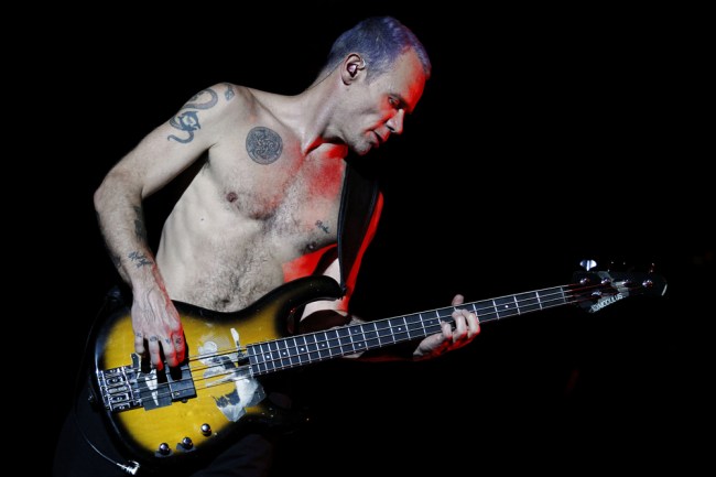 Flea Red Hot Chili Peppers
