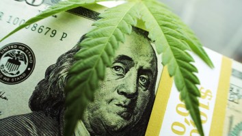Experts Predict Federal Marijuana Prohibition Ends In 3 Years