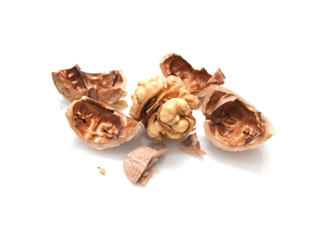 crushed walnut