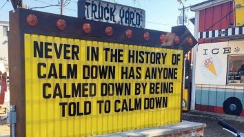 69 Of The Best Damn Photos On The Internet This Afternoon