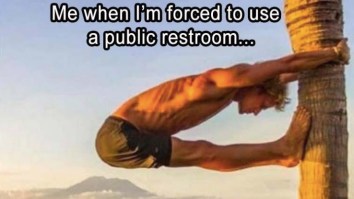 69 Of The Best Damn Photos On The Internet This Afternoon