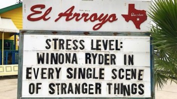 66 Of The Best Damn Photos On The Internet This Afternoon