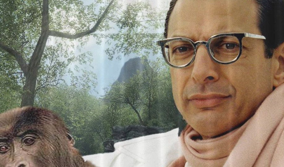 Your Home Isn't Complete Without This Truly Amazing Jeff Goldblum ...