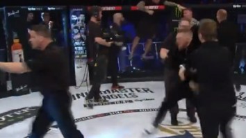 Conor McGregor Slapped A Commissioner In The Face After Scuffle With Ref At Bellator 187
