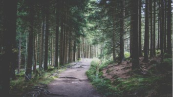 9-Year-Old Is The Youngest Person Ever To Complete The Triple Crown Of U.S. Hiking (Nearly 8K Miles)