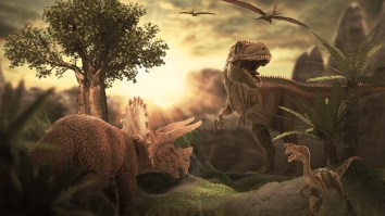 Unlucky Dinosaurs Might Still Be Alive Today Had Earth-Altering Asteroid Struck Somewhere Else
