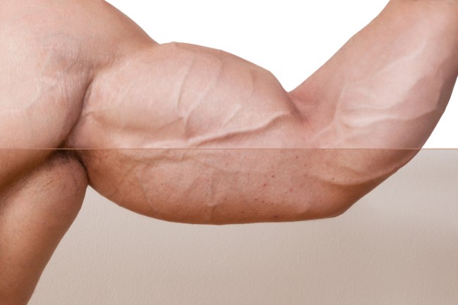 bodybuilder biceps